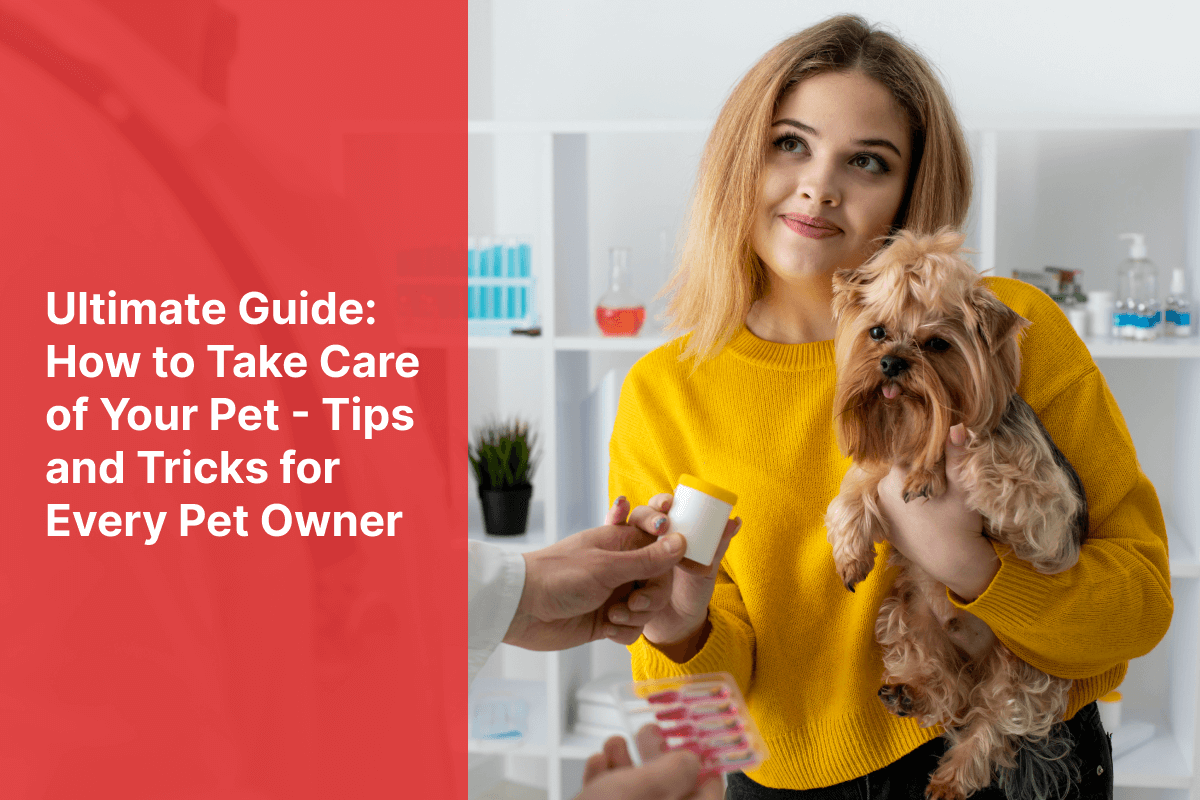 Pet Insurance Options