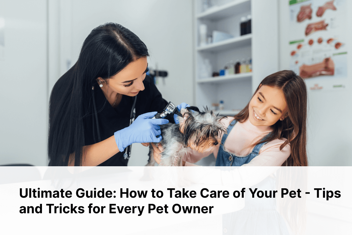 Pet Care Tips