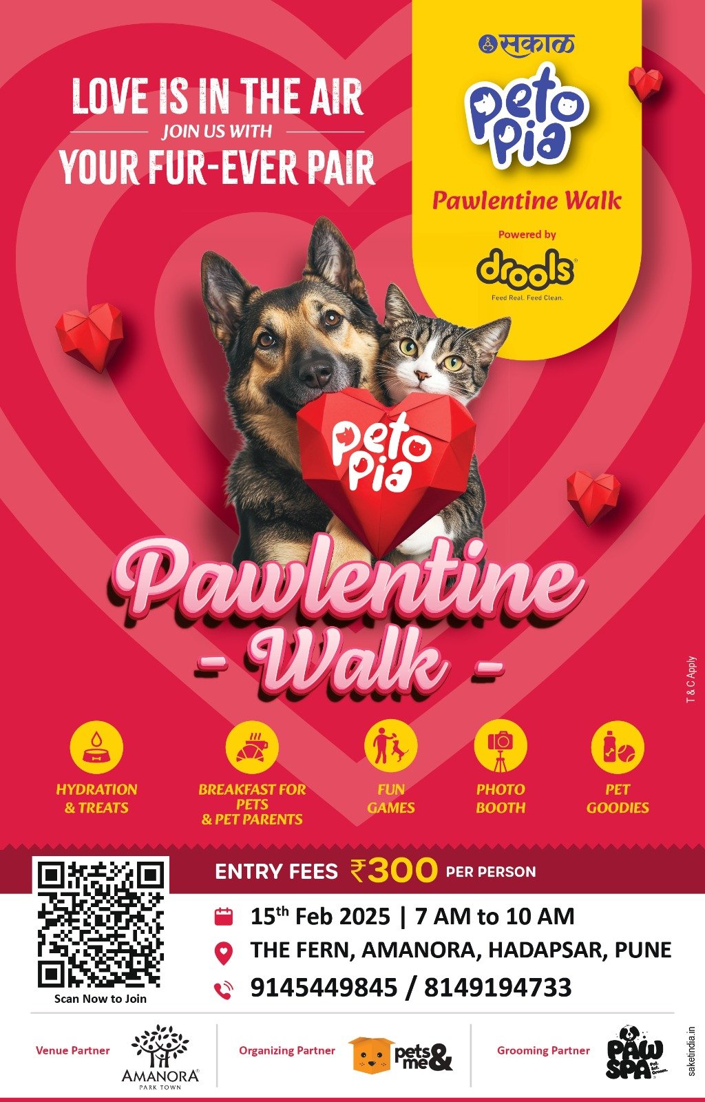 Pawlentine-day