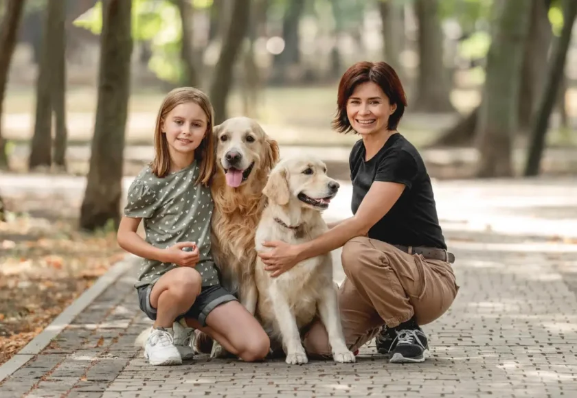 Who Is More Loyal—Dog or Cat