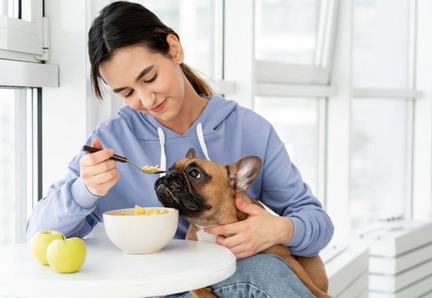 Pet Nutrition Guide What to Feed and What to Avoid