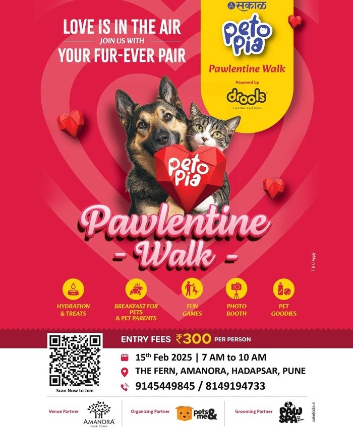 pawlentine-day