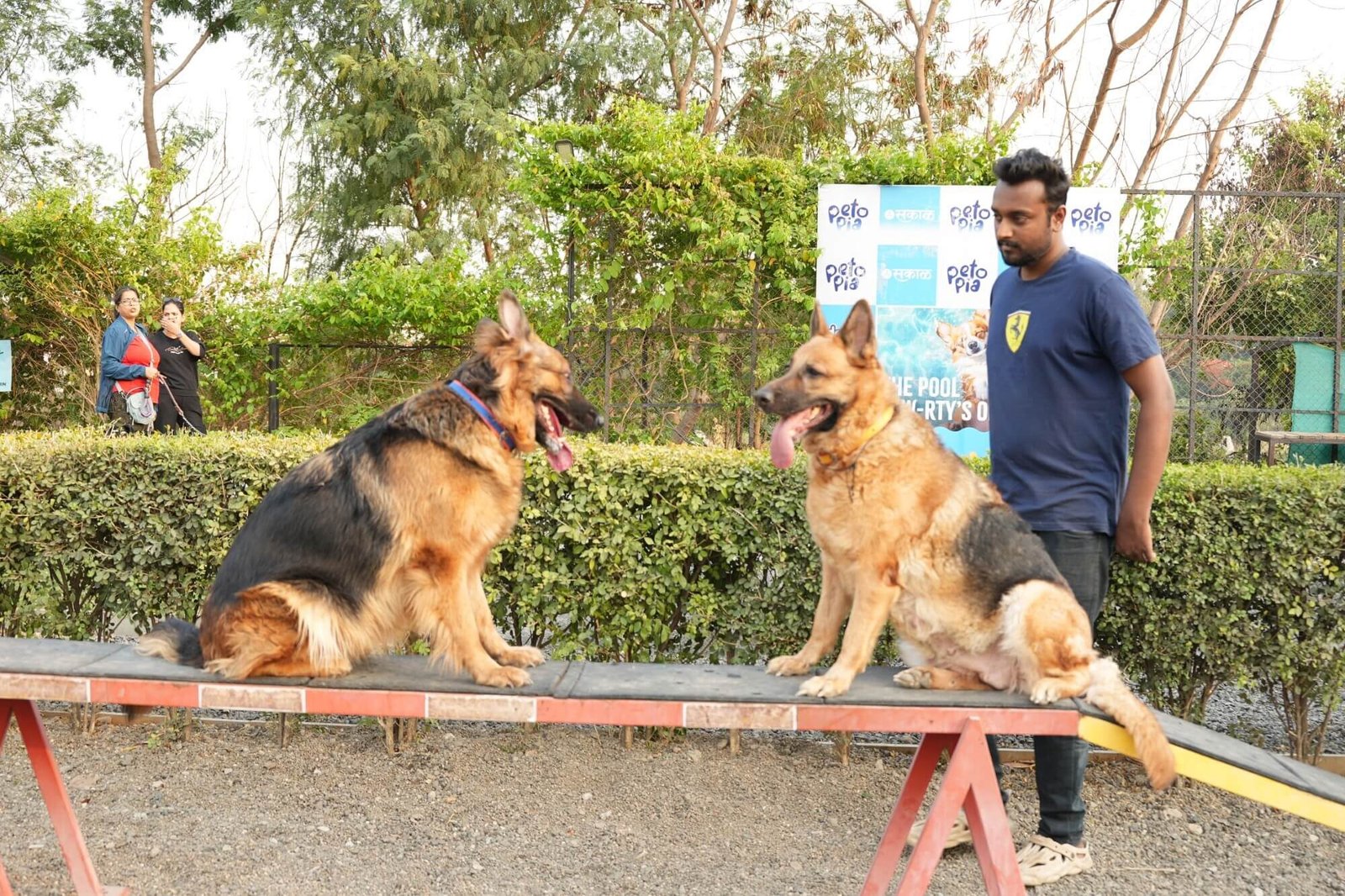 Pet Boarding in India: Choosing a Safe and Reliable Pet Hostel