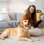 Pet Emergency First Aid Guide: What Every Pet Parent Should Know